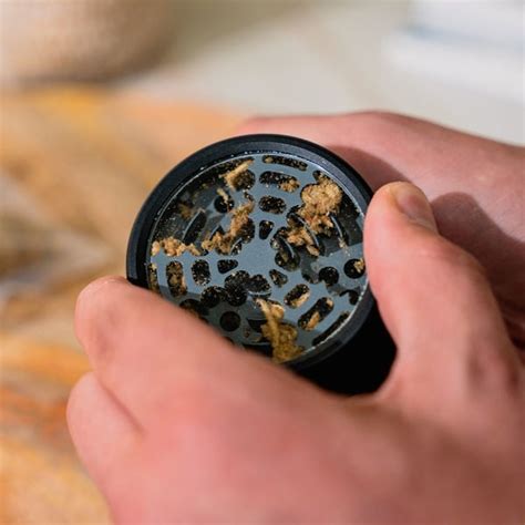 Premium Grinder By Zamnesia